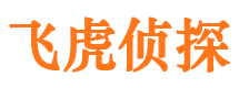 罗平市侦探调查公司